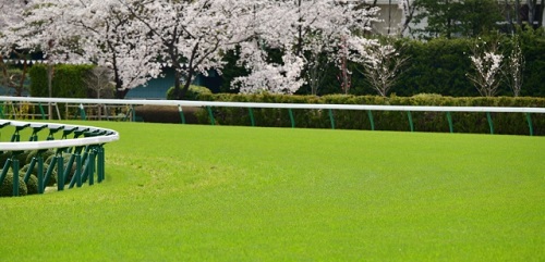 “良・重・不良”で馬の走りはどう変わる？