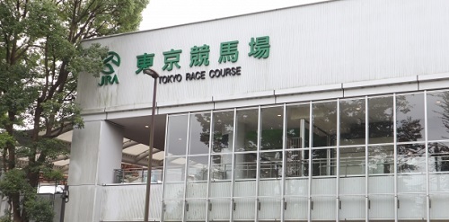 関東の注目コンビ