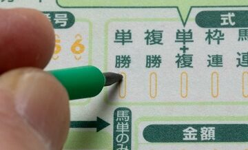 券種別に見る回収率の違い
