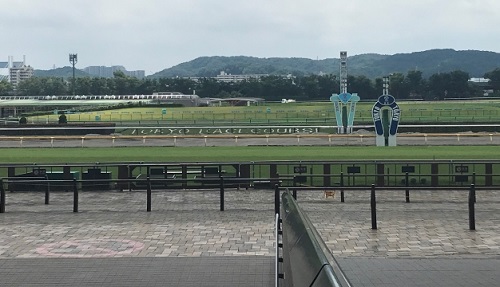 中距離血統（1800〜2200m）｜差し・先行のタフ型