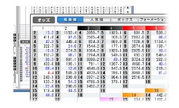 オッズはどう決まる？倍率の仕組みと見方