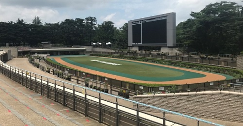 パドック