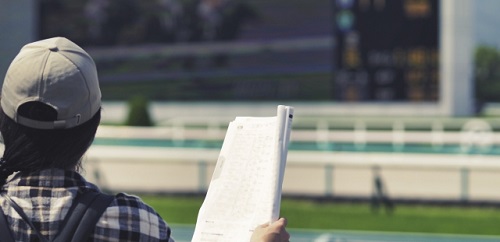 レースの選定を楽にしたい